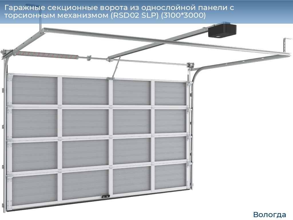 Гаражные секционные ворота из однослойной панели с торсионным механизмом (RSD02 SLP) (3100*3000), vologda.doorhan.ru
