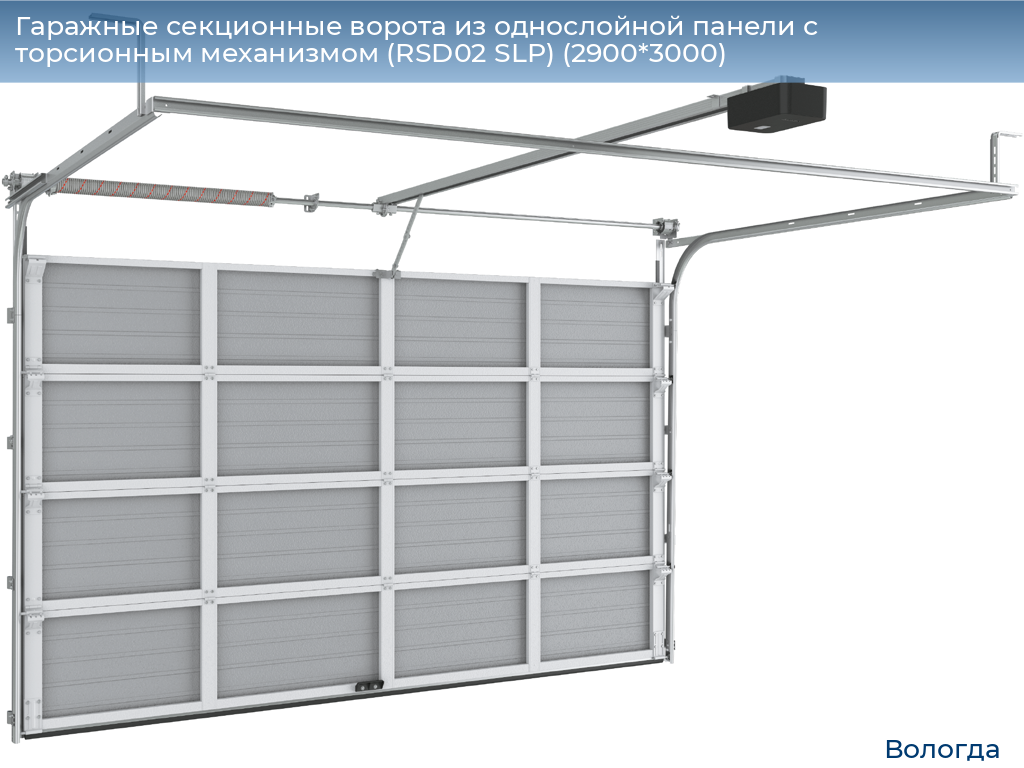 Гаражные секционные ворота из однослойной панели с торсионным механизмом (RSD02 SLP) (2900*3000), vologda.doorhan.ru