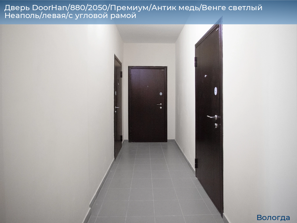 Дверь DoorHan/880/2050/Премиум/Антик медь/Венге светлый Неаполь/левая/с угловой рамой, vologda.doorhan.ru