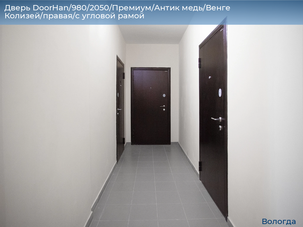 Дверь DoorHan/980/2050/Премиум/Антик медь/Венге Колизей/правая/с угловой рамой, vologda.doorhan.ru