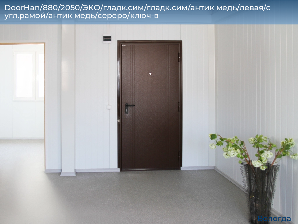 DoorHan/880/2050/ЭКО/гладк.сим/гладк.сим/антик медь/левая/с угл.рамой/антик медь/сереро/ключ-в, vologda.doorhan.ru