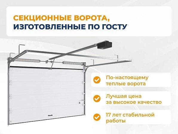 Секционные ворота 2500х2200 мм белые DoorHan RSD02, vologda.doorhan.ru